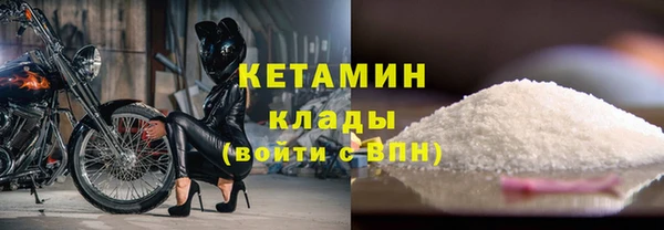 винт Пересвет