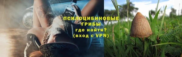 spice Алзамай