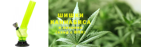 spice Алзамай