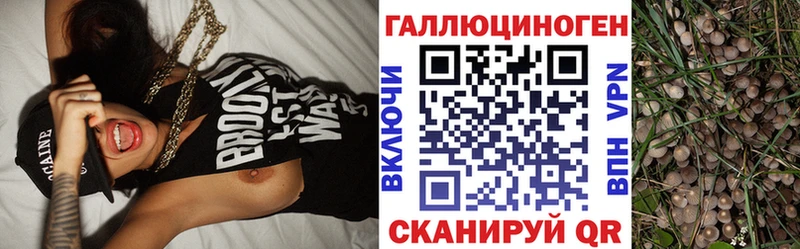 Псилоцибиновые грибы Psilocybine cubensis это телеграм Южно-Сухокумск ОМГ ОМГ ССЫЛКА